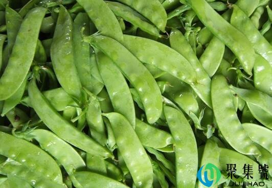 荷兰豆在荷兰叫什么