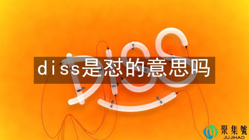 diss是怼的意思吗
