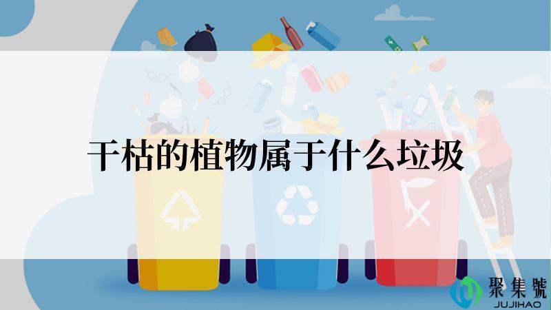 干枯的植物属于什么垃圾