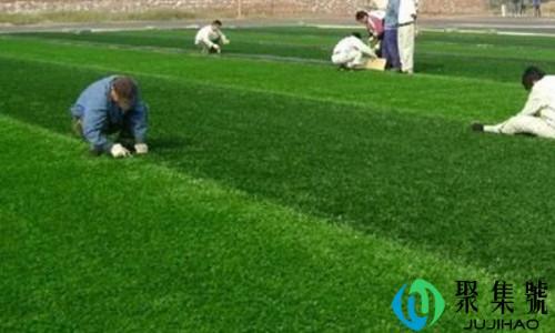 天然草坪与人工草坪的区别