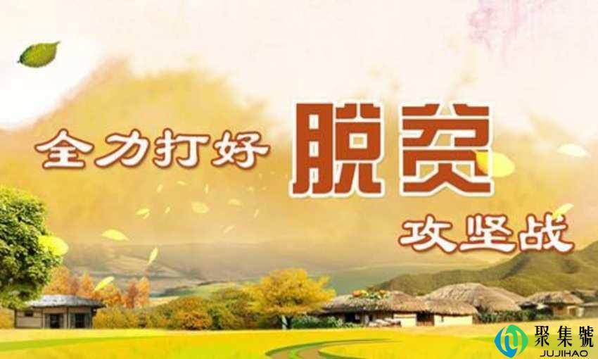 建档立卡编号在哪查