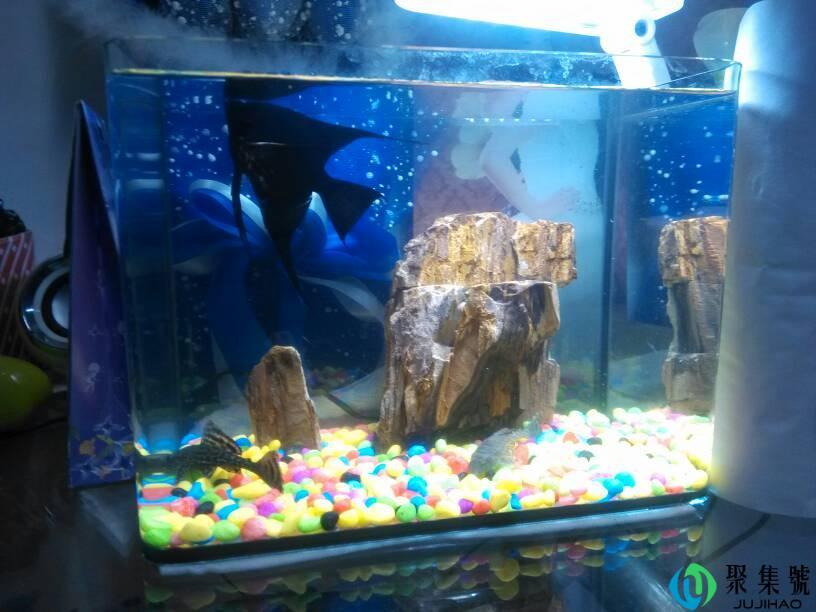 鱼缸缺氧小妙招