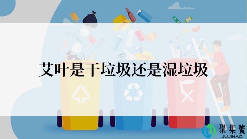 艾叶是干垃圾还是湿垃圾