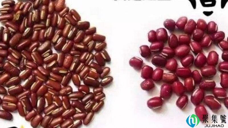 小红豆和赤小豆一样吗