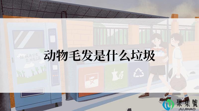动物毛发是什么垃圾