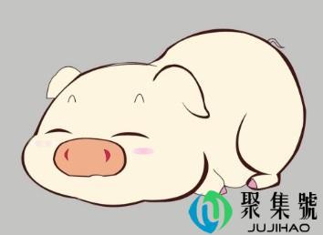 己亥和乙亥一样吗