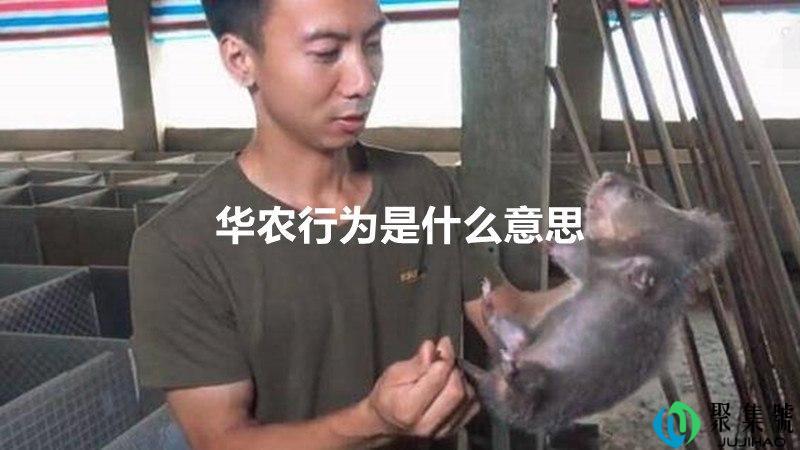 华农行为是什么意思