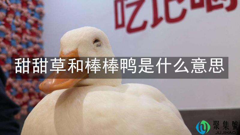 甜甜草和棒棒鸭是什么意思