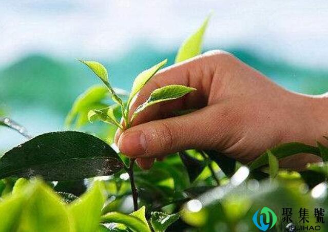 保养身体的重要性