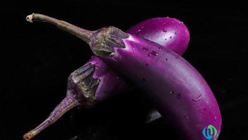 茄语是什么意思