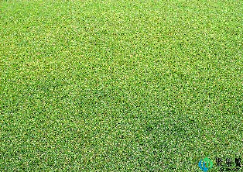 GraSS是什么意思