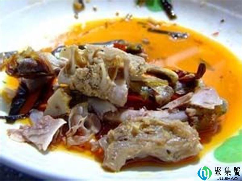 剩菜剩饭能不能做肥料