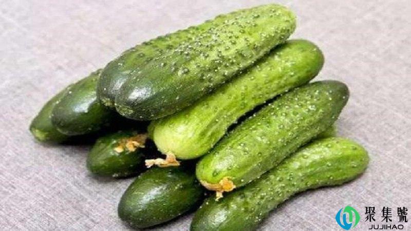 吃黄瓜能减肥吗