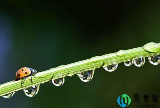 无根水是什么水