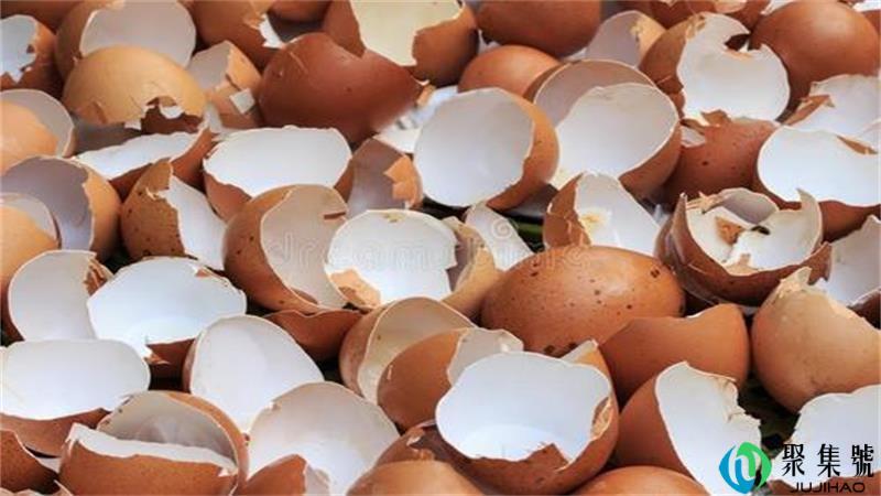 蛋壳是湿拉极还是干拉极
