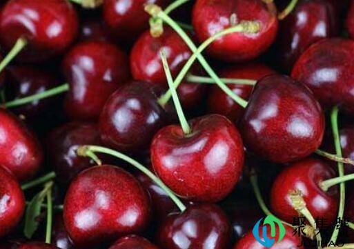 车厘子pd是什么意思