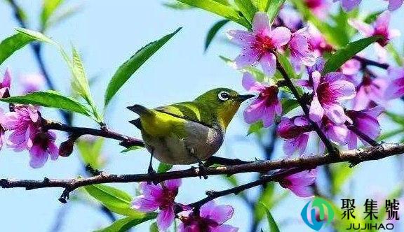 描写春天的词语