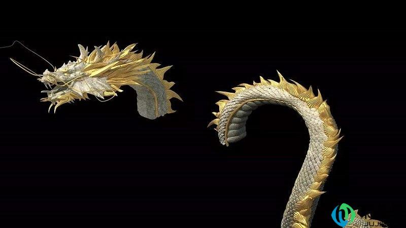 黄河指的是什么动物