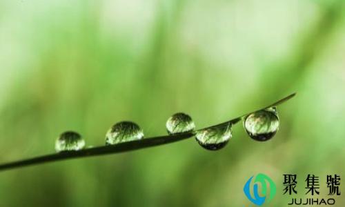 叶子类目定向什么意思