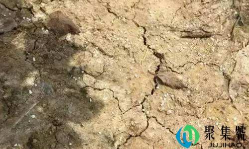 如何让板结的泥土松散