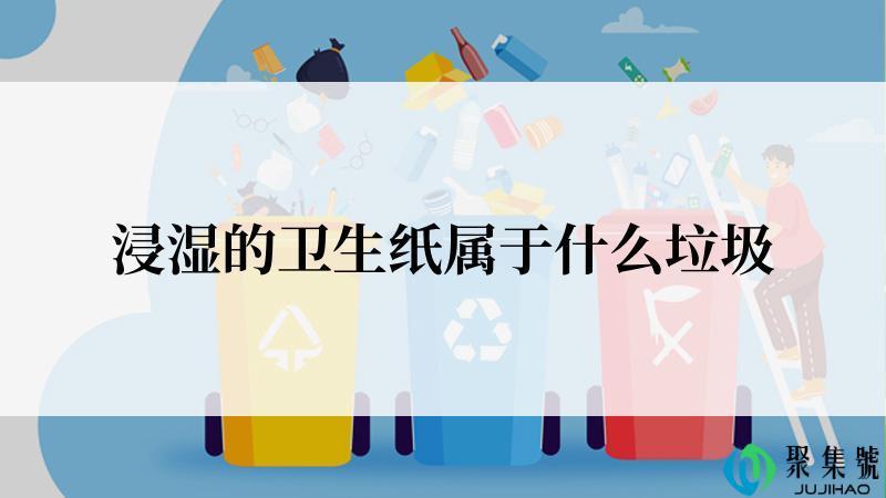 浸湿的卫生纸属于什么垃圾