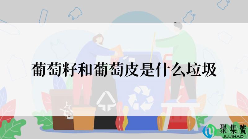 葡萄籽和葡萄皮是什么垃圾