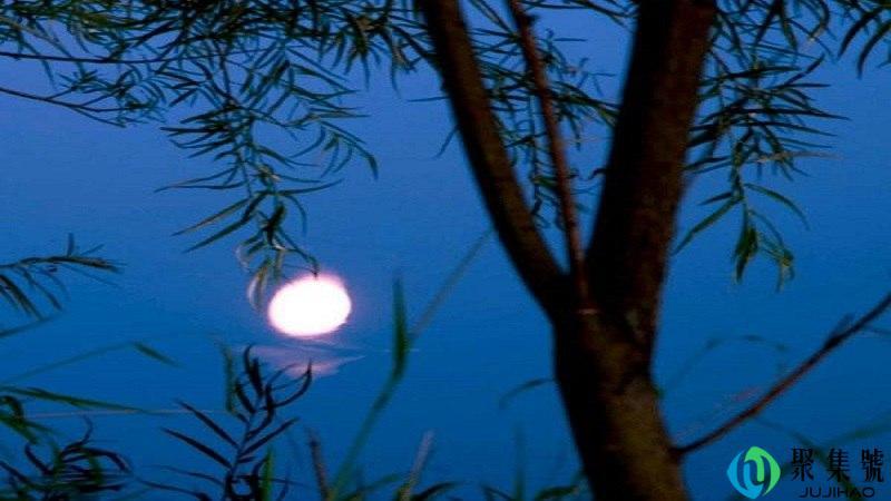 你遥远如萤火是世间所有闻说什么意思