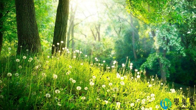 乌兰浩特是几线城市