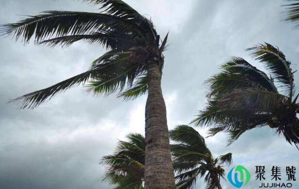 8米-秒是几级风