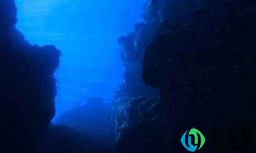 bloop是什么海洋动物