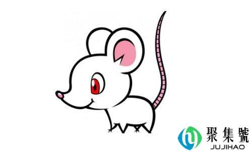 1972年属什么生肖