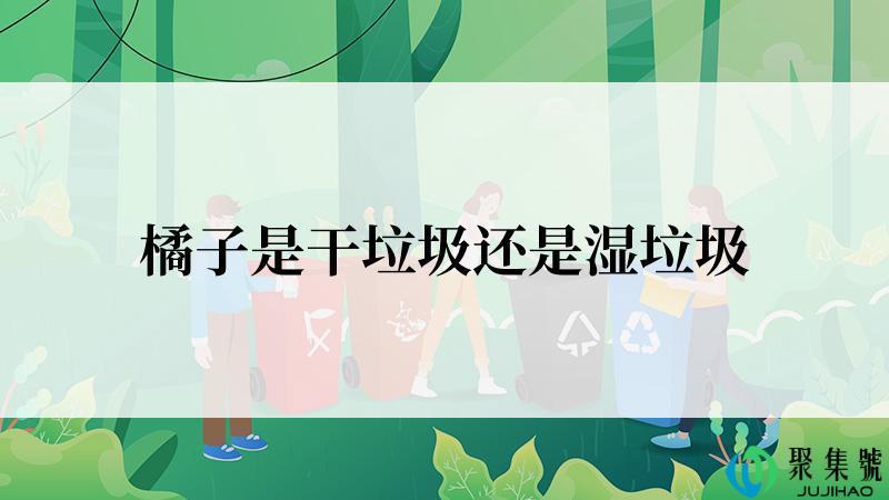 橘子是干垃圾还是湿垃圾