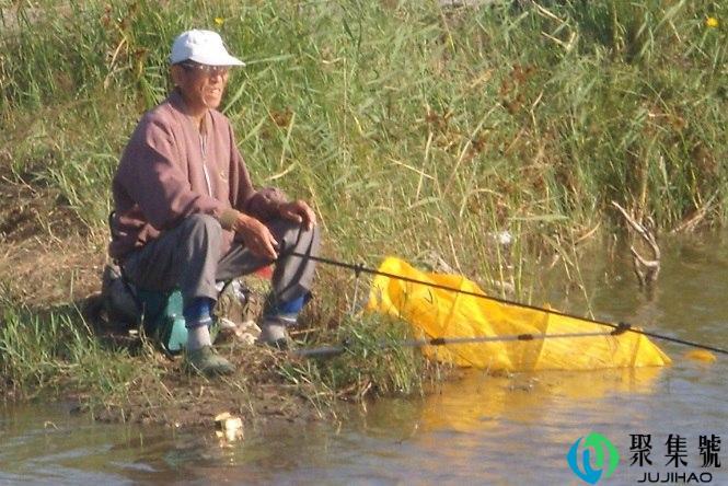 晚上打窝天亮钓可以吗