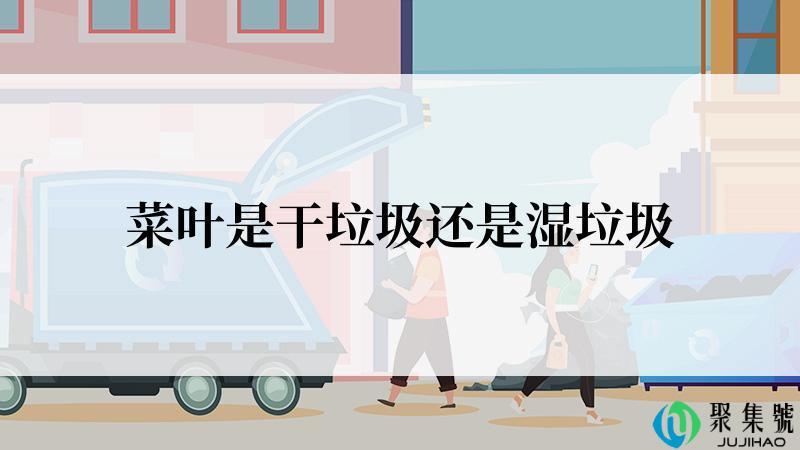 菜叶是干垃圾还是湿垃圾