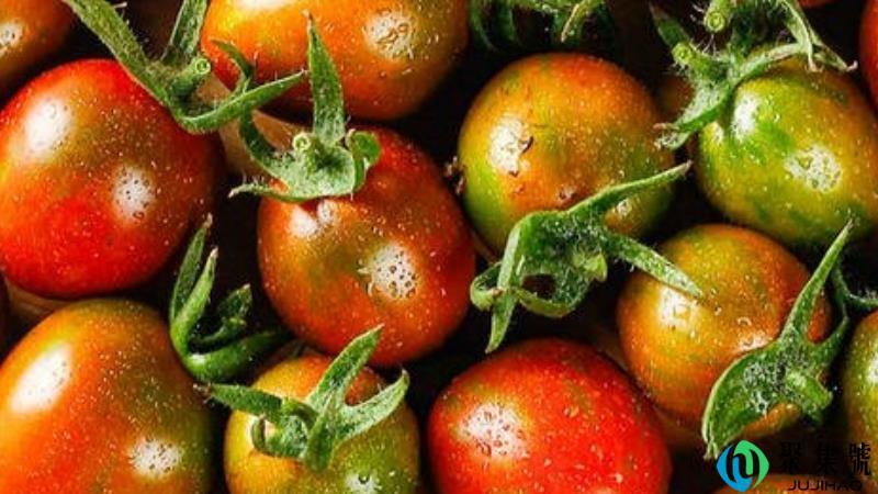 迷彩小番茄营养价值