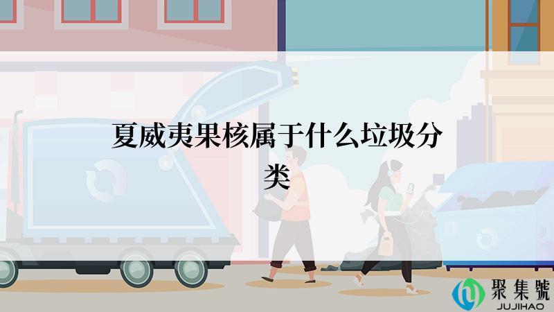 夏威夷果核属于什么垃圾分类
