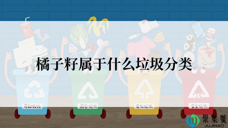 橘子籽属于什么垃圾分类