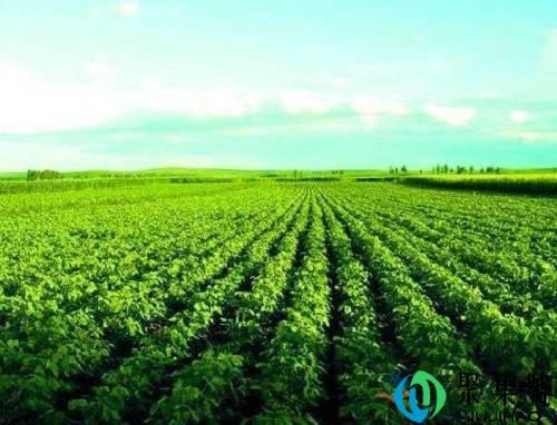 二三产业是什么意思