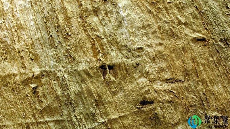 地质层分为哪些层