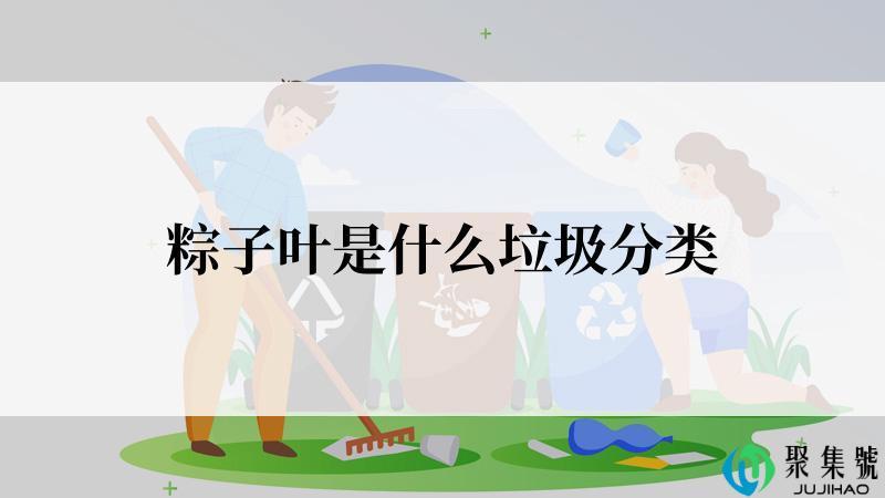 粽子叶是什么垃圾分类