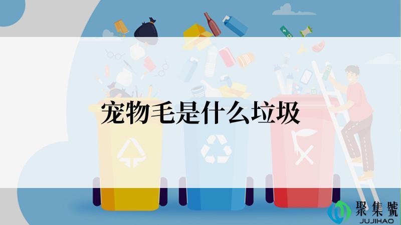 宠物毛是什么垃圾