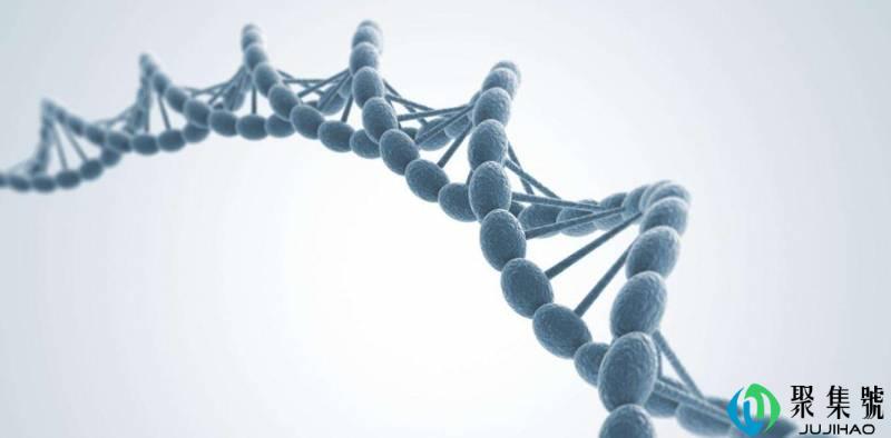 dna是英文名称什么的缩写