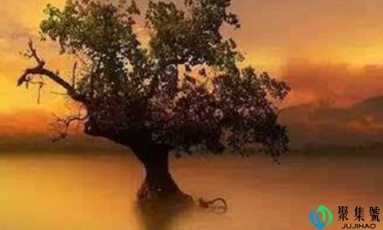 无趣的人总得识趣吧什么意思