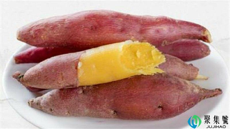 煮地瓜需要多长时间