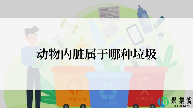 动物内脏属于哪种垃圾