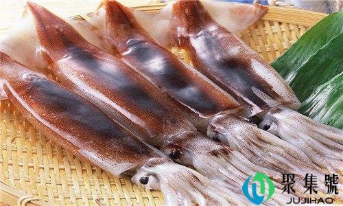阿根廷鱿鱼和国产鱿鱼的区别