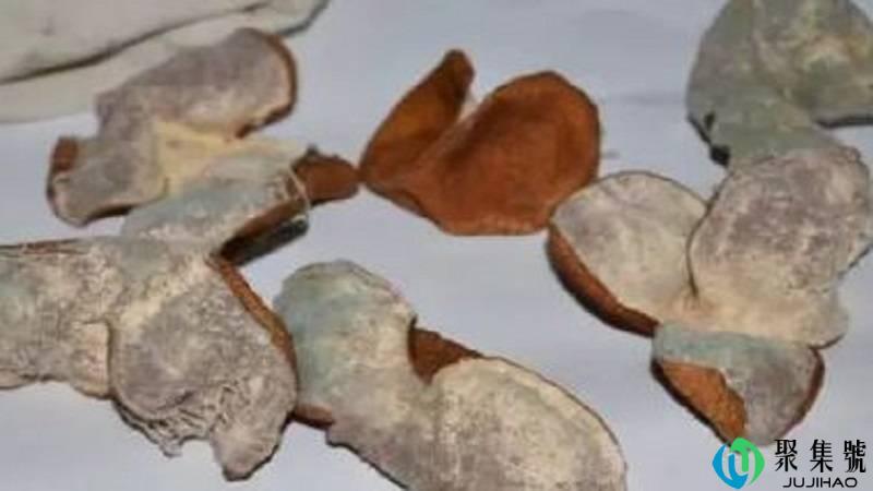 陈皮发霉了怎么办