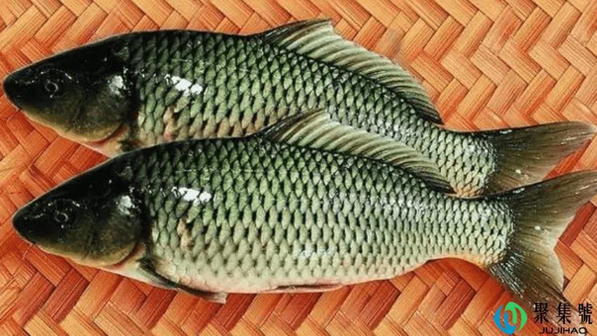 自制缺氧鱼药配方