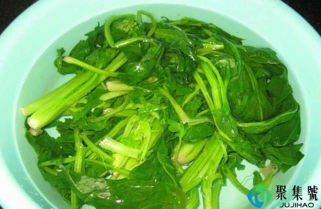 菠菜放冰箱能放多久