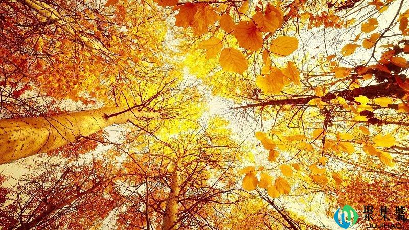 望笑纳和请笑纳的区别